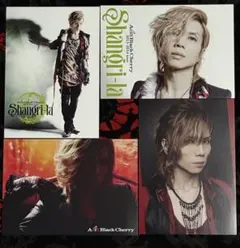 acid black cherry ミュージシャン