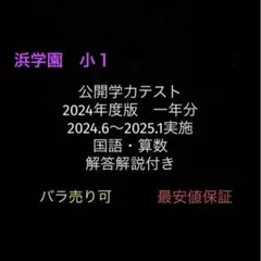 2026年最新】浜学園 小6 最高レベル特訓 テキストの人気アイテム