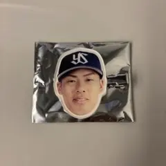 ヤクルトスワローズ　ファン感スワポン　山野投手 ヘアクリップ