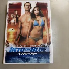 DVD洋画 ブルーラグーン ミラ・ジョヴォヴィッチ初主演 - メルカリ