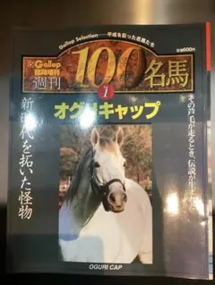 週刊Gallop臨時増刊 100名馬 Vol.22 メジロマックイーン - メルカリ