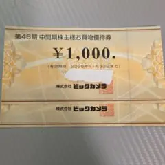 ビックカメラ 株主優待券 ¥2,000
