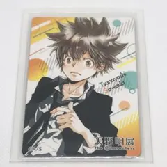 未使用 家庭教師ヒットマンREBORN! 天野明展 マグネットステッカー 2