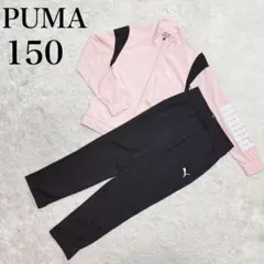 PUMA ジャージ上下セット 150 女の子 ピンク黒