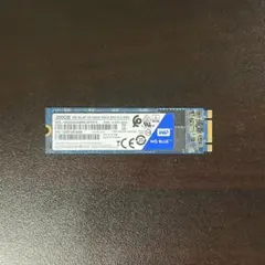 WD BLUE 250GB M.2 2280 SSD
