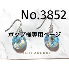 ポップ様 リクエスト まとめ商品