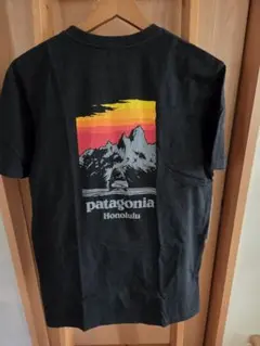 希少】patagonia パタゴニア Tシャツ 横浜 - メルカリ