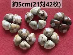 #25 貝殻セット_天然ハマグリ21対42枚 約5cm 中サイズ