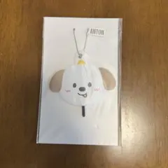 アントン アイドル