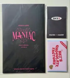 Stray Kids スキズ ピクチャーチケット セット