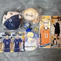 ハイキュー!! 月島蛍 山口忠 木下久志 もちもちマスコット カード コースター