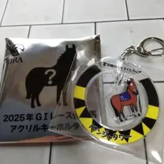 2026年最新】ウェルカムチャンスの人気アイテム - メルカリ