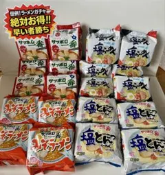 サッポロ一番 4種100食セット 1万円相当　非常食　227②