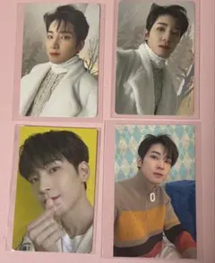 seventeen ウォヌ あいのちから トレカ
