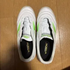Mizuno Morelia ホワイト/グリーン