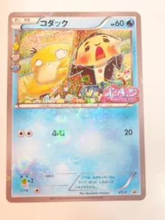 XY-P コダック_ポケキュンコレクション キャンペーン 増田順一 コラボ 