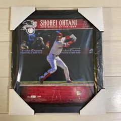 大谷翔平　新人王受賞記念ウッドフォトフレーム+田中将大初対戦記念限定Ｔシャツ