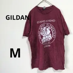 GILDAN　【М】　Tシャツ　バーガンディ　紫　ロゴ