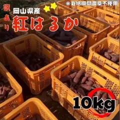 【さつまいも】栽培期間農薬不使用 紅はるか 10kg【ねっとり甘い】