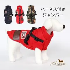 Item thumbnail for item 5b327483-8cb2-4e04-8dd1-d2370420a0f0