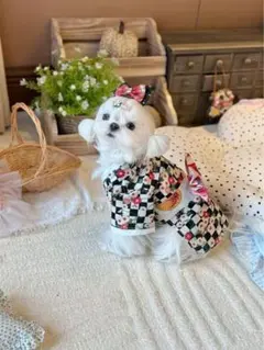 E4.pon2pan2☆現品犬の浴衣 - メルカリ