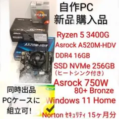 タラの芽の天ぷら様 リクエスト 2点 まとめ商品