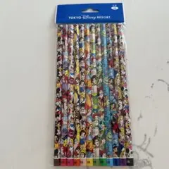 東京ディズニーリゾート 2B鉛筆 12本セット