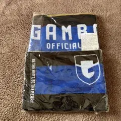 Item thumbnail for item e525af8a-33bf-445f-8fed-95c0484899b4