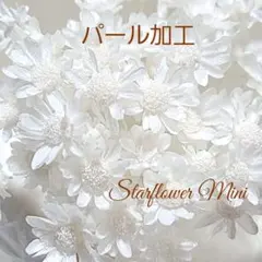 Item thumbnail for item 19974acf-5f1a-4710-aa4f-b08beb043217