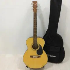 Takamine T-F0AN アコースティックギター 中古現状品 2026年最新】ギター タカミネ tの人気アイテム - メルカリ