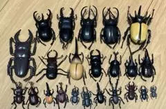 カブトムシ　クワガタ　フィギュア　まとめ売り