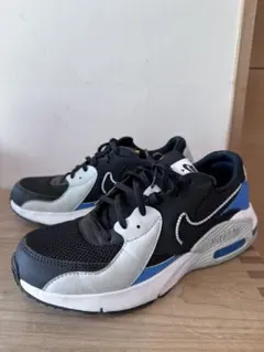 Nike Air Max 25センチ