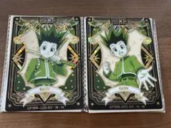 HUNTER×HUNTER ゴン 中国 アクリルカード 2枚セット