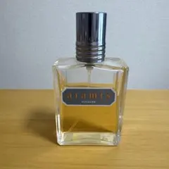 国内正規販売終了アラミスオードトワレ110ml - メルカリ