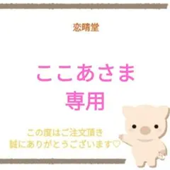 ここあさま専用
