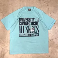 90s フルーツオブザルーム Tシャツ XL シングルステッチ USA製 水色