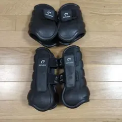 Item thumbnail for item 6a34a7e9-cfe1-478c-9099-6949b6f72a5f