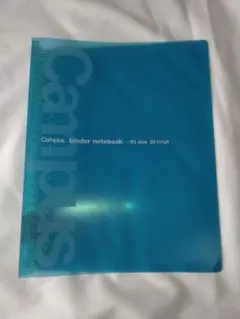 Item thumbnail for item 781b221c-ba31-4c1f-9bc0-380ea2d2e34e