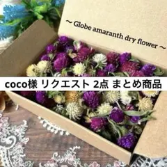 coco様 リクエスト 2点 まとめ商品