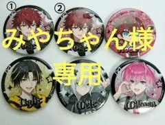 みやちゃん様専用