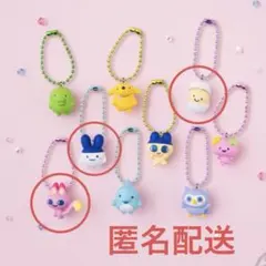 たまごっち　チョコボックス　みみっち　べびまるっち　みゃおっち