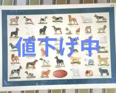 高難易度 ジグソーパズル 1500 ドッグオブザワールド ドッグ 犬 いぬのサムネイル
