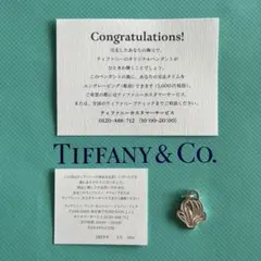 ティファニー 名古屋ウィメンズ マラソン GO WOMAN 2019年 完走賞のサムネイル