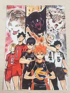 ハイキュー カレンダー ポスター 烏野 音駒 梟谷