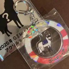 2026年最新】ゴールドシップ キーホルダーの人気アイテム - メルカリ