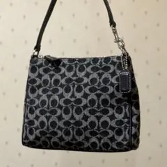 2026年最新】COACH コーチ シグネチャーアクセサリーポーチの人気