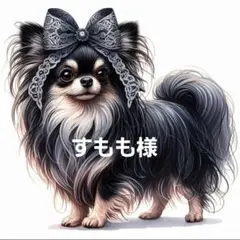 すもも様専用