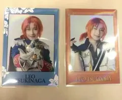 あんスタ 中国 限定招募 ポラロイド 月永レオ - メルカリ