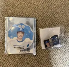 北海道日本ハムファイターズ 松本剛 スタンドアクリル缶バッジ ピンバッジ