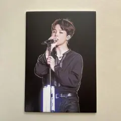 ジミンちゃん パネル